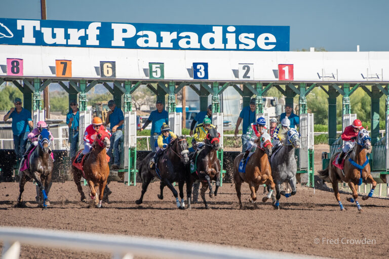 2018 11 24 Turf Paradise 4349 Big